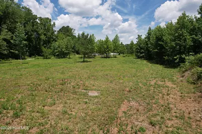 00 Old Chinquapin Road, Beulaville, NC 28518 - Photo 37