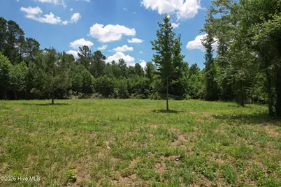 00 Old Chinquapin Road, Beulaville, NC 28518 - Photo 23