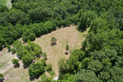 00 Old Chinquapin Road, Beulaville, NC 28518 - Photo 15