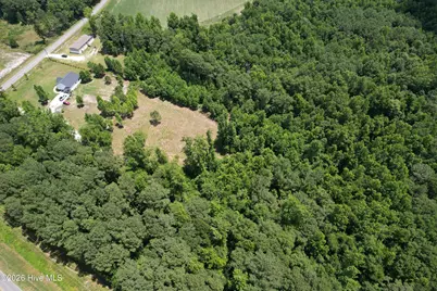 00 Old Chinquapin Road, Beulaville, NC 28518 - Photo 5