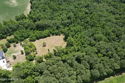 00 Old Chinquapin Road, Beulaville, NC 28518 - Photo 3