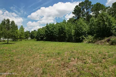00 Old Chinquapin Road, Beulaville, NC 28518 - Photo 33
