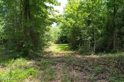 00 Old Chinquapin Road, Beulaville, NC 28518 - Photo 31