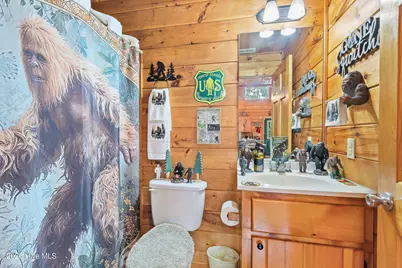 310 Ringtail Run, Murphy, NC 28906 - Photo 27