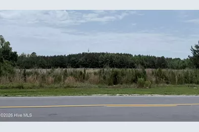 0 E Jewett East Avenue, Bunn, NC 27508 - Photo 3