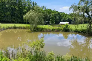 154 Blueberry Hill, Hayesville, NC 28904 - Photo 53