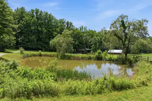 154 Blueberry Hill, Hayesville, NC 28904 - Photo 51