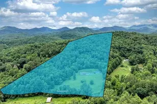 200 Gold Leaf Ln, Murphy, NC 28906 - Photo 3