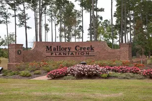 5303 Black Oak Ct, Winnabow, NC 28479 - Photo 39
