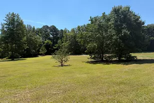 623 Butler Rd, Salemburg, NC 28385 - Photo 5