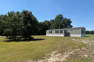 623 Butler Rd, Salemburg, NC 28385 - Photo 3