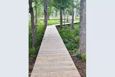 263 Treasure Point Road, Bath, NC 27808 - Photo 21