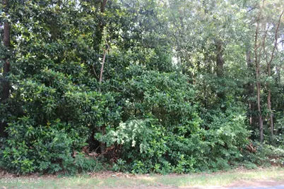 Lot 20 Grant Drive, Goldsboro, NC 27534 - Photo 3