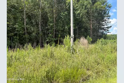 1419 Mable Spaulding Road, Whiteville, NC 28472 - Photo 3