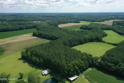 1419 Mable Spaulding Road, Whiteville, NC 28472 - Photo 11