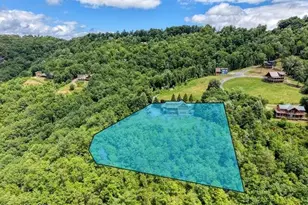 628 Madison Ln, Brasstown, NC 28902 - Photo 55