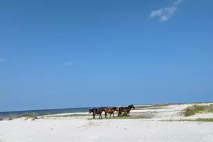 116 Sandy Lndg Rd, Cedar Island, NC 28520 - Photo 69