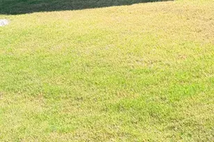 1213 Elbron Dr, Augusta, GA 30909 - Photo 29