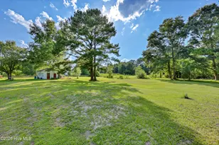 3698 Nc Hwy 53 E, Burgaw, NC 28425 - Photo 35