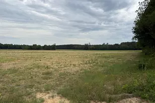 418 Menola St John Rd, Ahoskie, NC 27910 - Photo 17