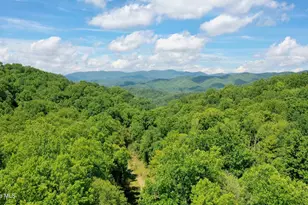 575 Vestal Cochran Rd, Topton, NC 28781 - Photo 65