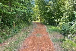575 Vestal Cochran Rd, Topton, NC 28781 - Photo 101