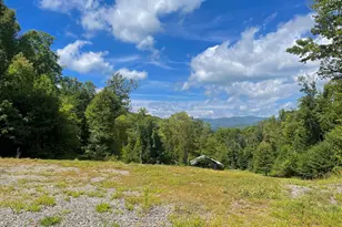 575 Vestal Cochran Rd, Topton, NC 28781 - Photo 103