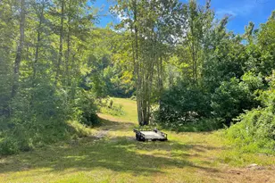 575 Vestal Cochran Rd, Topton, NC 28781 - Photo 99