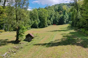 575 Vestal Cochran Rd, Topton, NC 28781 - Photo 75