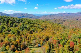 575 Vestal Cochran Rd, Topton, NC 28781 - Photo 39