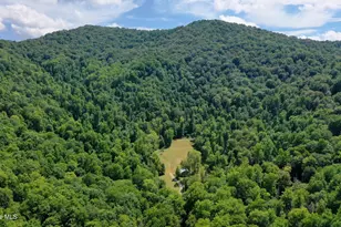 575 Vestal Cochran Rd, Topton, NC 28781 - Photo 67