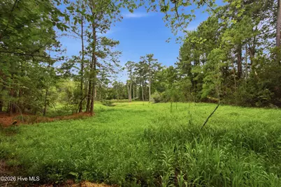 2409 Turtle Bay Drive, New Bern, NC 28562 - Photo 9