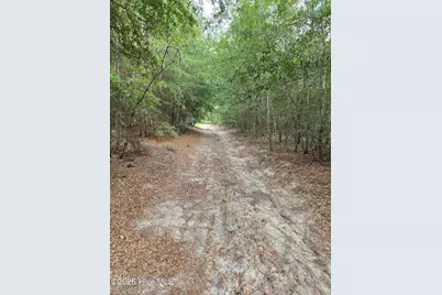 317 R J Johnson Road, Allendale, SC 29810 - Photo 7