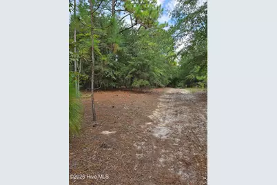 317 R J Johnson Road, Allendale, SC 29810 - Photo 3