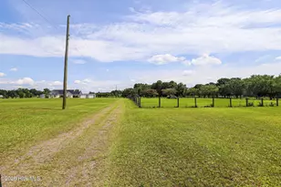 248 Mt Calvary Rd, Trenton, SC 29847 - Photo 33