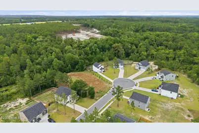 169 Hedge Hunter Court, Raeford, NC 28376 - Photo 5