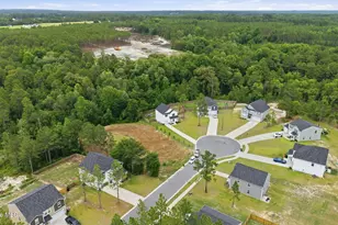 169 Hedge Hunter Ct, Raeford, NC 28376 - Photo 5