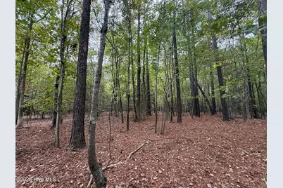 119 Bessie Road, Carthage, NC 28327 - Photo 35