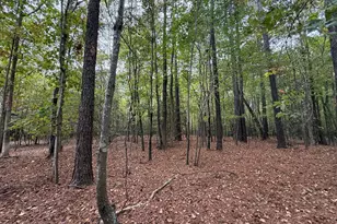 119 Bessie Rd, Carthage, NC 28327 - Photo 35