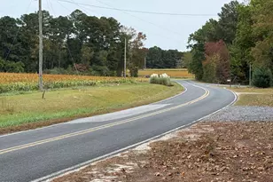 119 Bessie Rd, Carthage, NC 28327 - Photo 39