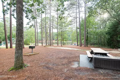 46 Whitehaven Drive, Pinehurst, NC 28374 - Photo 105