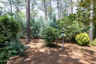 46 Whitehaven Dr, Pinehurst, NC 28374 - Photo 85
