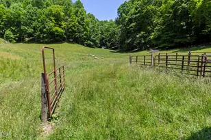 1740 Winding Stairs Rd, Topton, NC 28781 - Photo 119