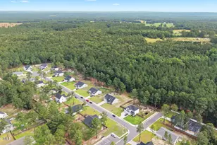 138 Cafe Prince Ct, Raeford, NC 28376 - Photo 35