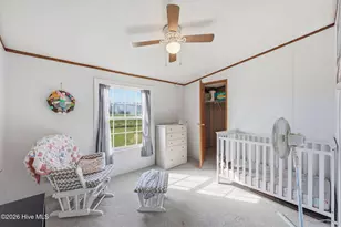 252 Heath Swamp Rd, Cove City, NC 28523 - Photo 31