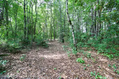145 New Road, Windsor, NC 27983 - Photo 39