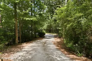 308 Silver Creek Landing Rd, Swansboro, NC 28584 - Photo 3
