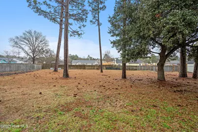 203 Savanna Court, Hubert, NC 28539 - Photo 27