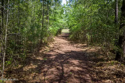 4291 Cobleskill Drive, Leland, NC 28451 - Photo 87
