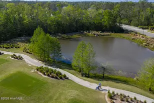 4291 Cobleskill Dr, Leland, NC 28451 - Photo 101